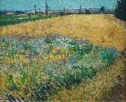 unknow artist Vincent van Gogh Wheatfield china oil painting artist
